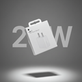 20W Apple Charger